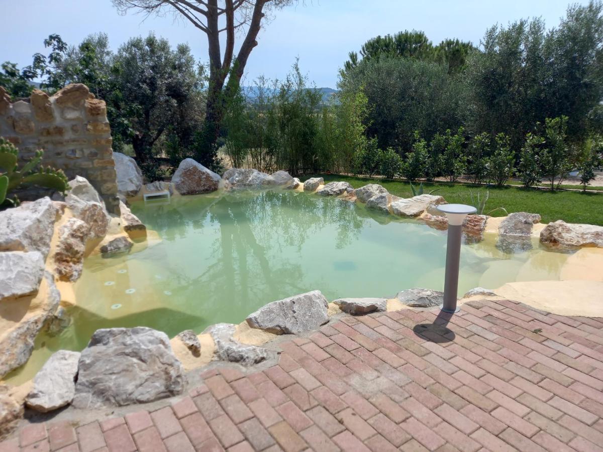 Agriturismo La Fontanella & Glamping Suvereto Εξωτερικό φωτογραφία