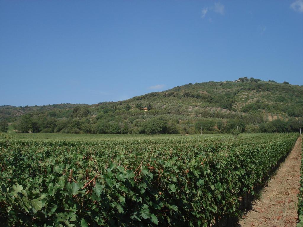 Agriturismo La Fontanella & Glamping Suvereto Εξωτερικό φωτογραφία